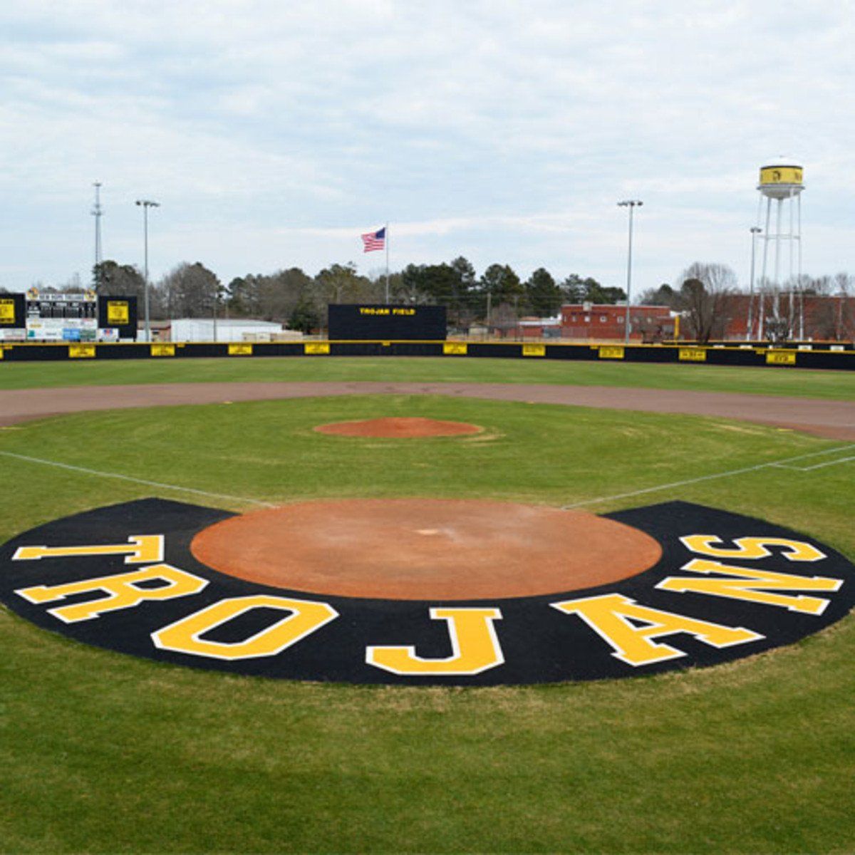 10' Home Plate Halo with Shock Pad