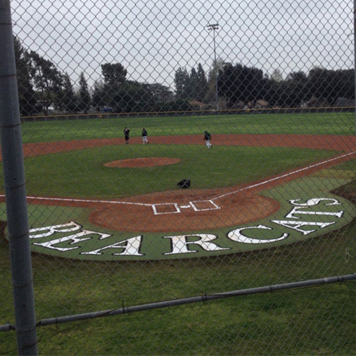 10' Home Plate Halo with Wings and Shock Pad