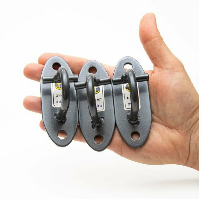 Anchor Gym-Mini H1 (Set of 3 Units)