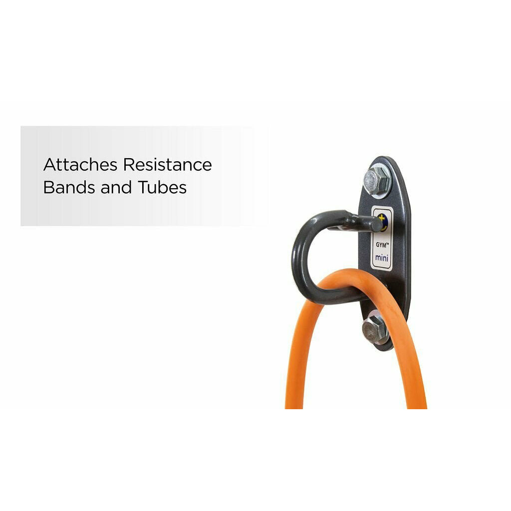 Anchor Gym-Mini H1 (Set of 3 Units)