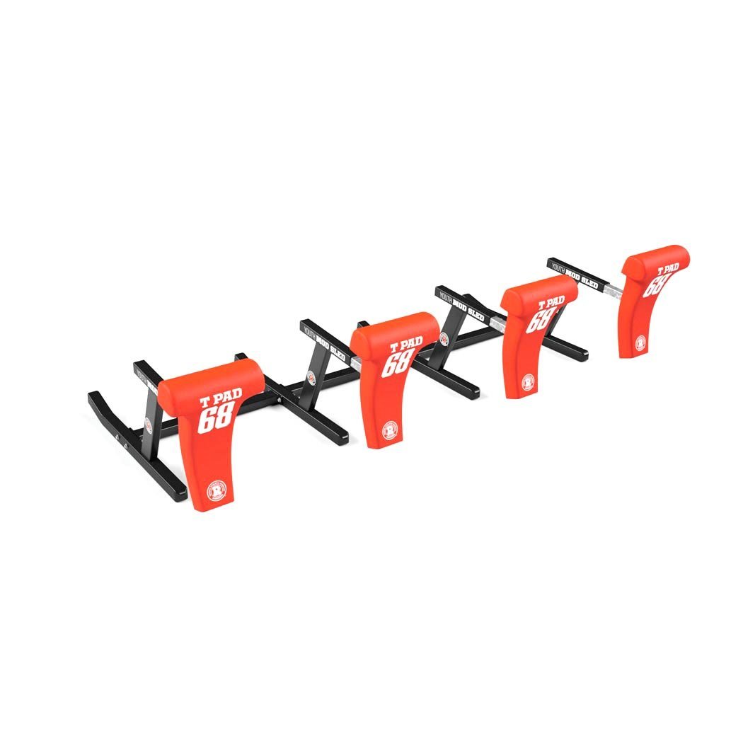 Rogers 4-Man Youth MOD Sled
