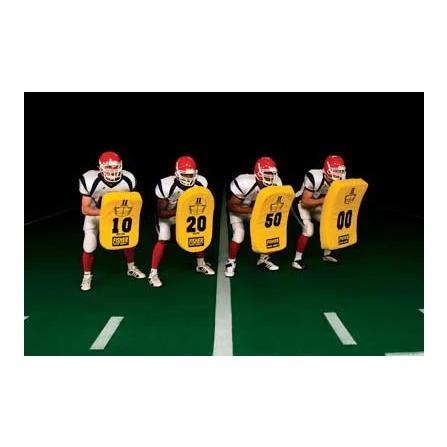 Fisher Curved Shields - Pitch Pro Direct