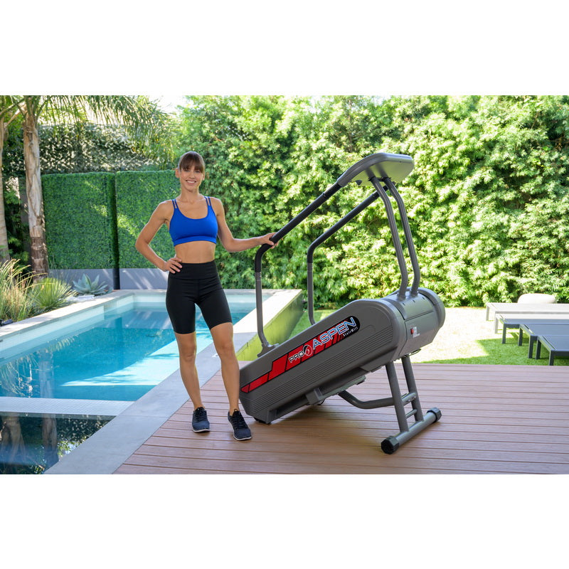 Aspen Stairmill Stair Climber Machine