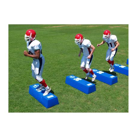 Fisher Dual Step Agility Dummies