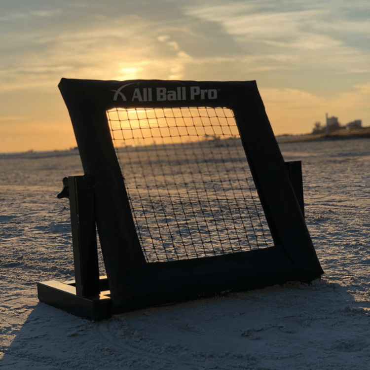 All Ball Pro The Mini Pro