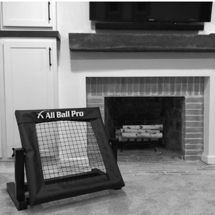 All Ball Pro The Mini Pro