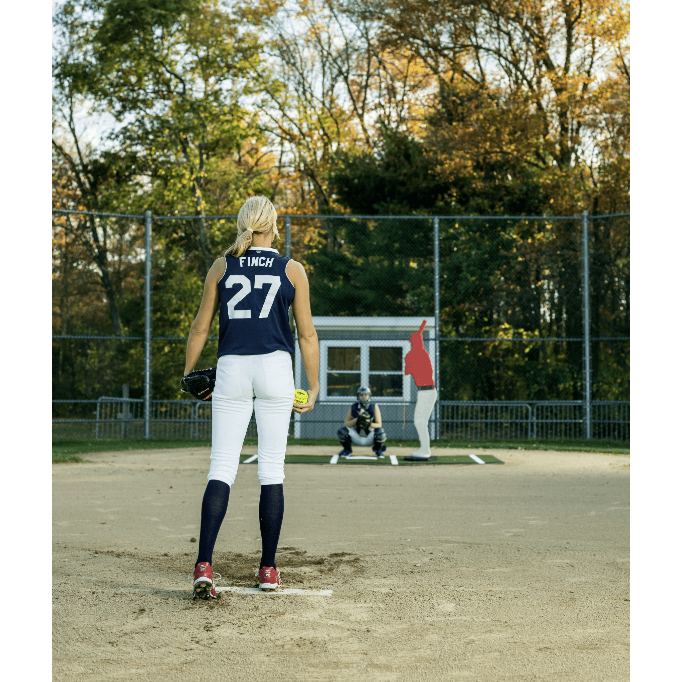 promounds designated hitter pro model rear view