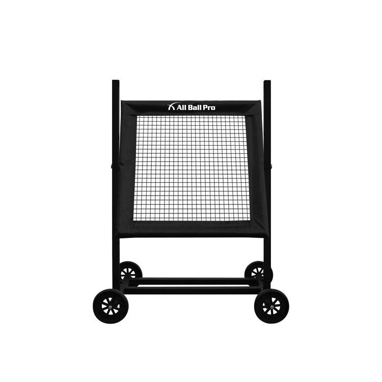 All Ball Pro The Mini Pro