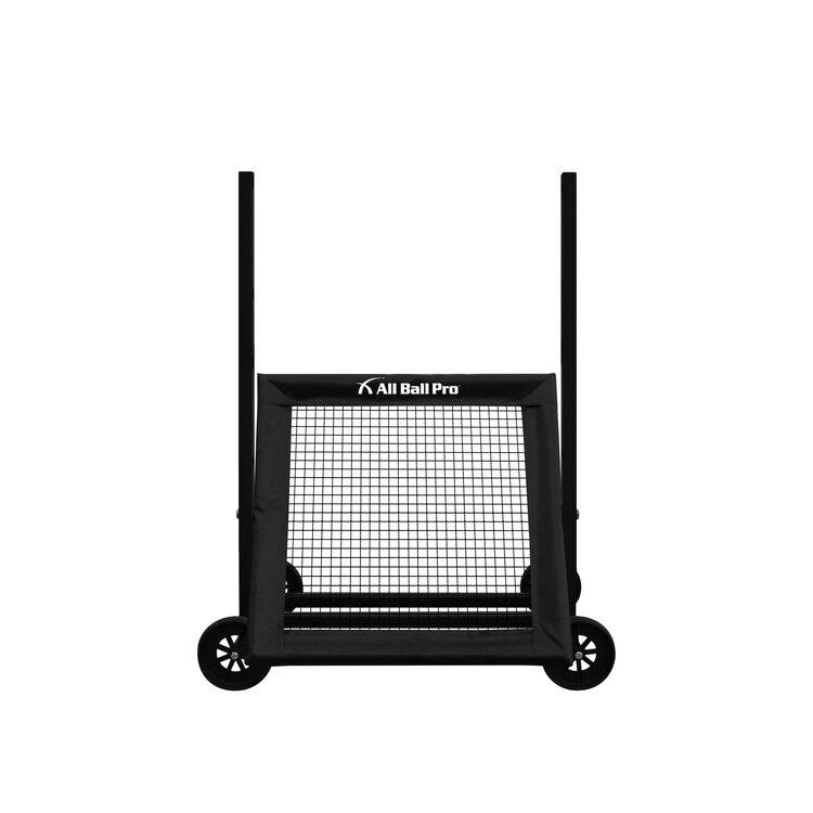 All Ball Pro The Mini Pro