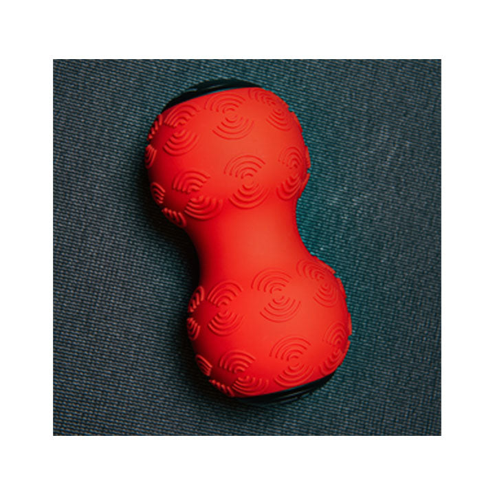 Power Plate DualSphere