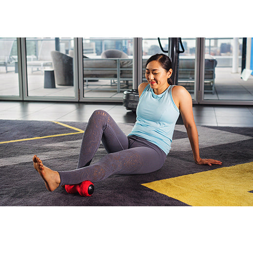 Power Plate DualSphere