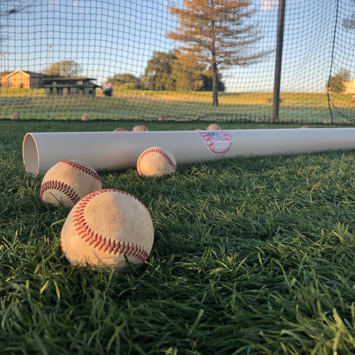 The Ball Hawg | Baseball Retriever and Back Saver