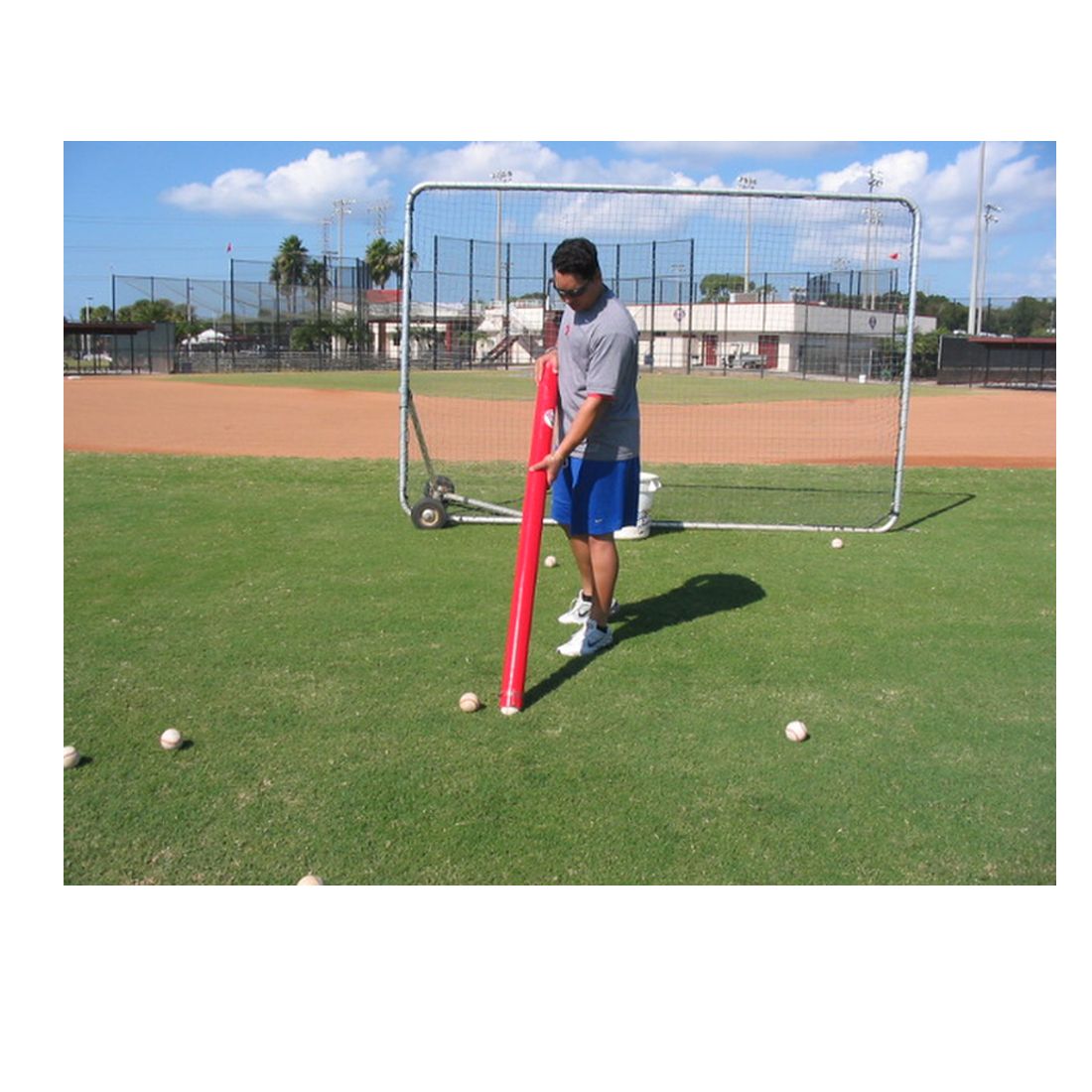 The Ball Hawg | Baseball Retriever and Back Saver