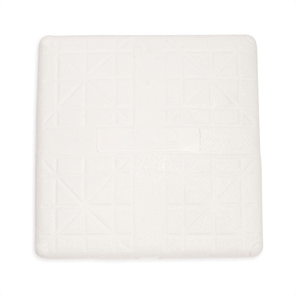 champion sports hollywood type impact base set1