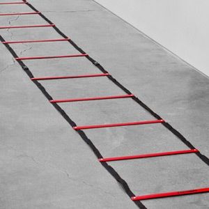 rae crowther 15 or 30 agility ladder