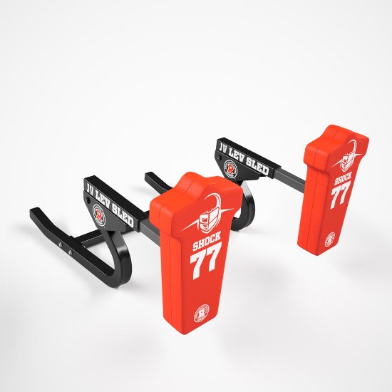 Rogers 2-Man JV Lev Sled