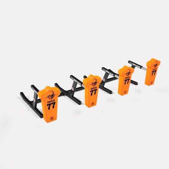 Rogers 4-Man Youth MOD Sled
