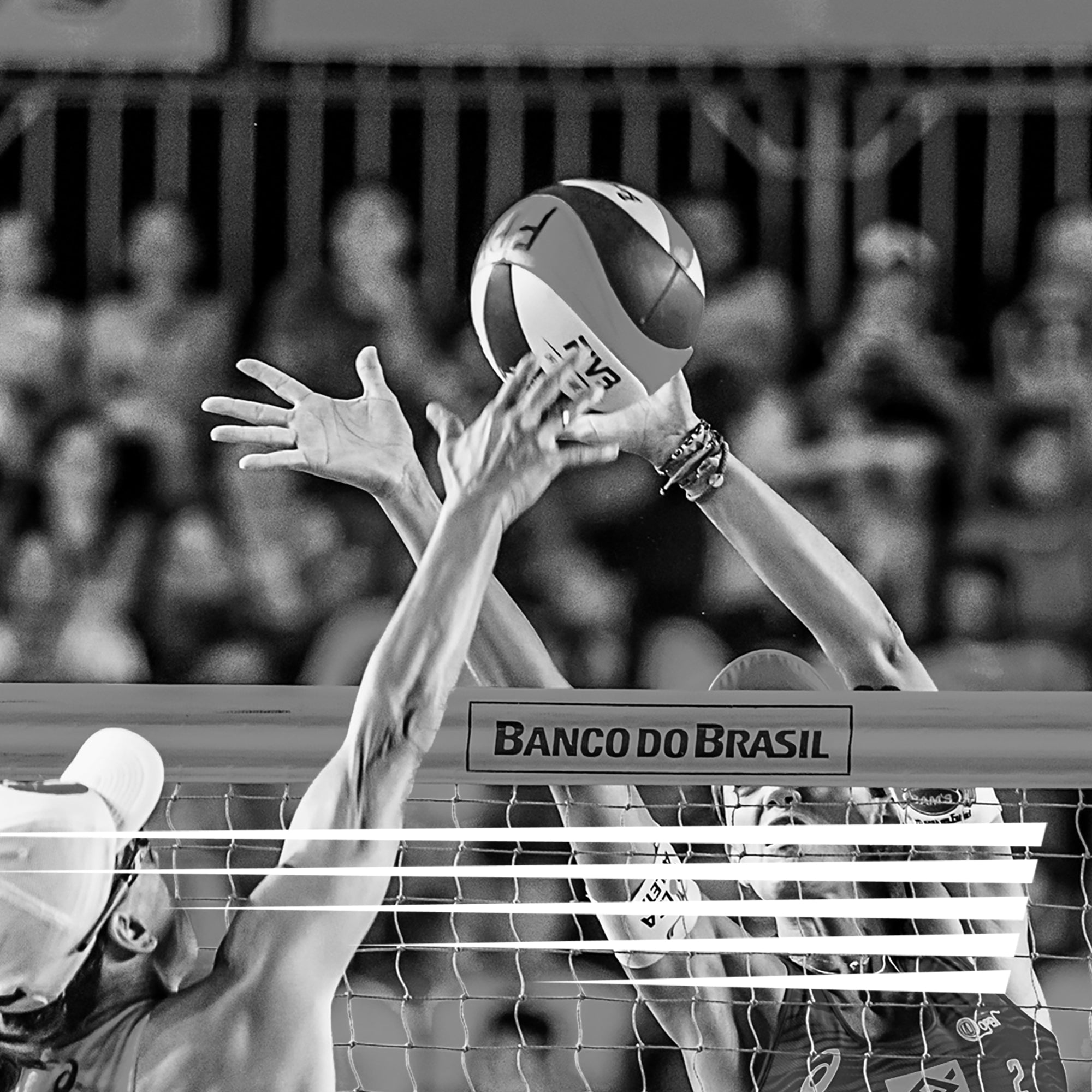 anytime sports supply volleyball