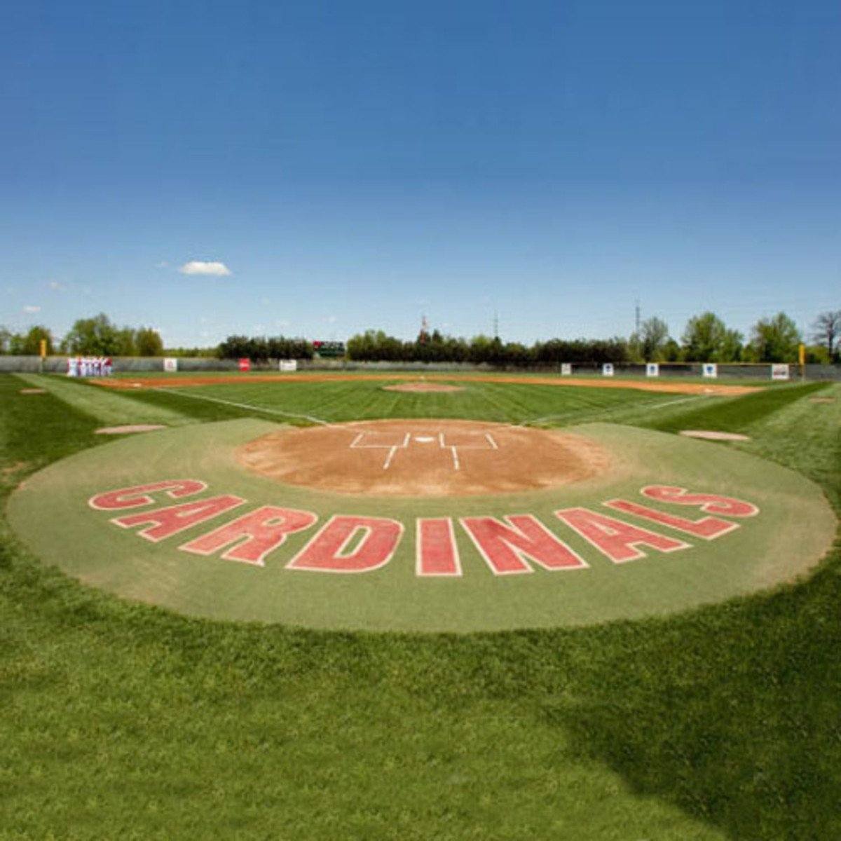 10' Home Plate Halo with Shock Pad