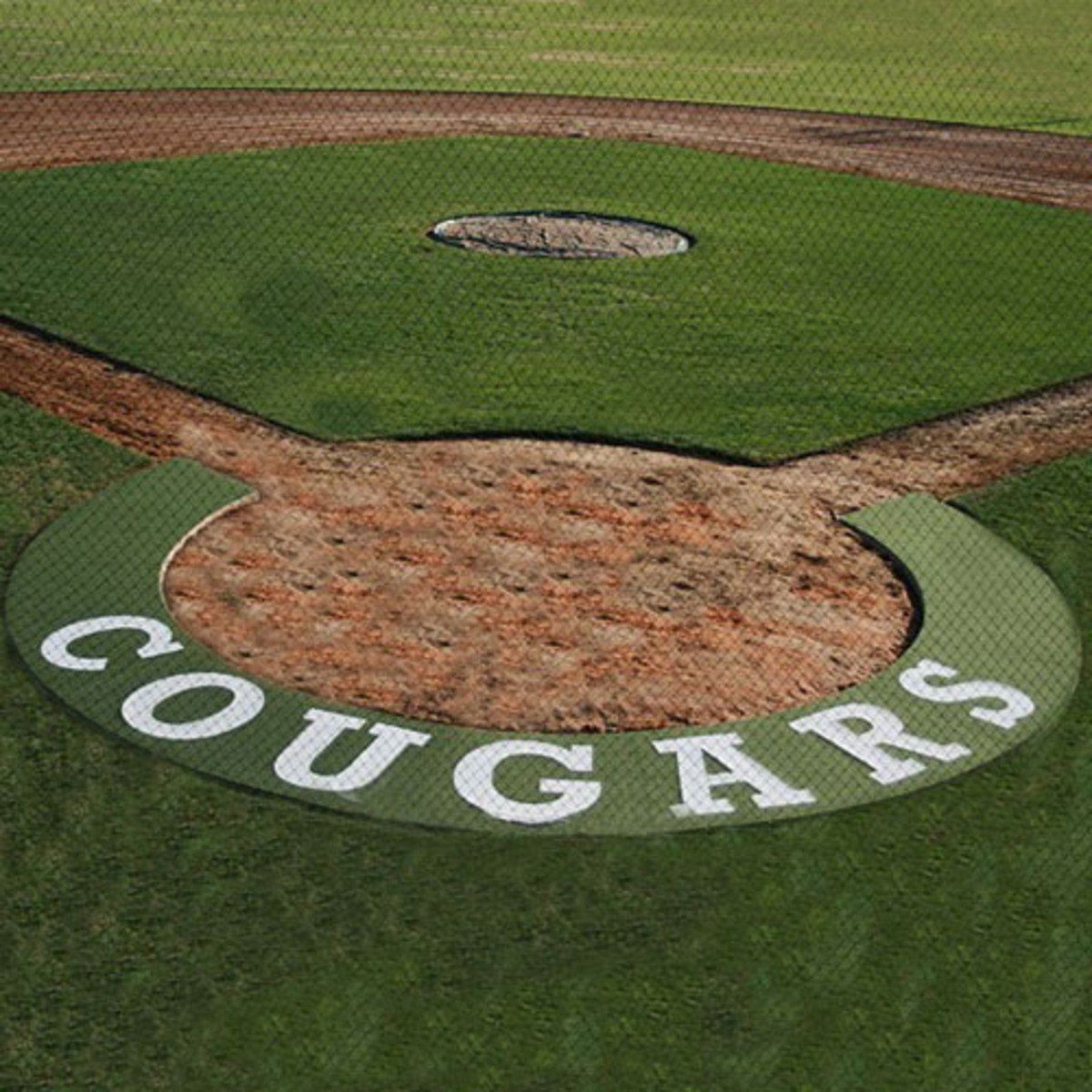 5' Home Plate Halo