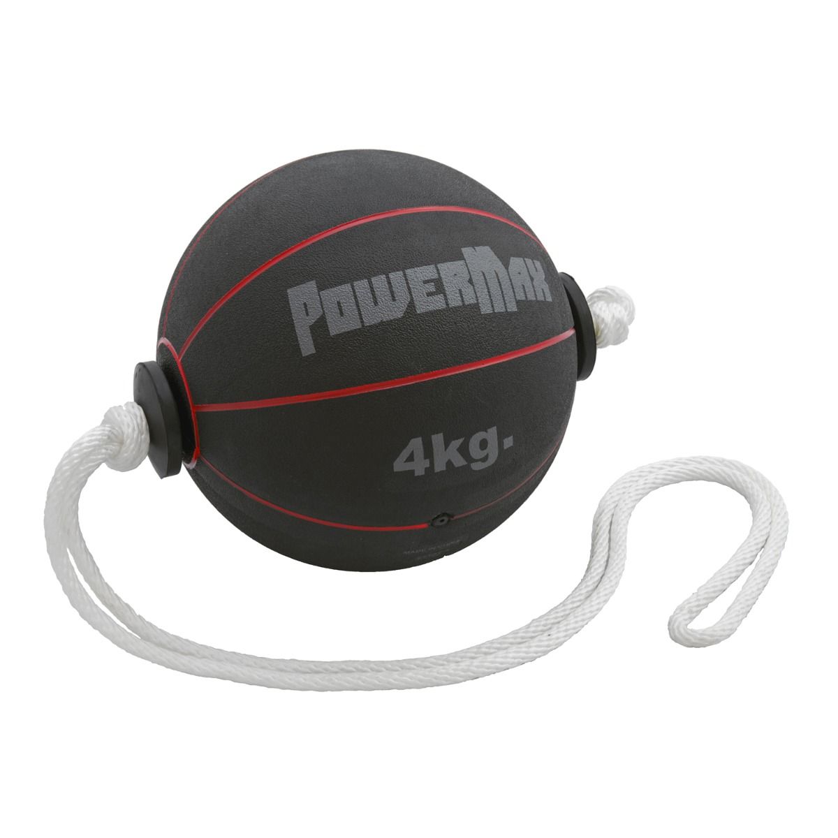 PowerMax Swing Balls