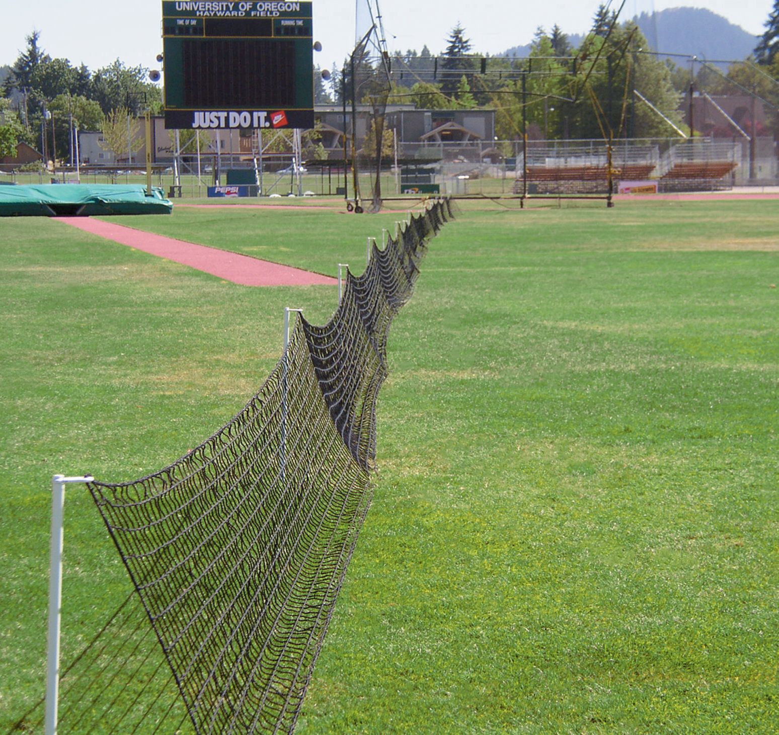 Gill Athletics Discus Sector Net