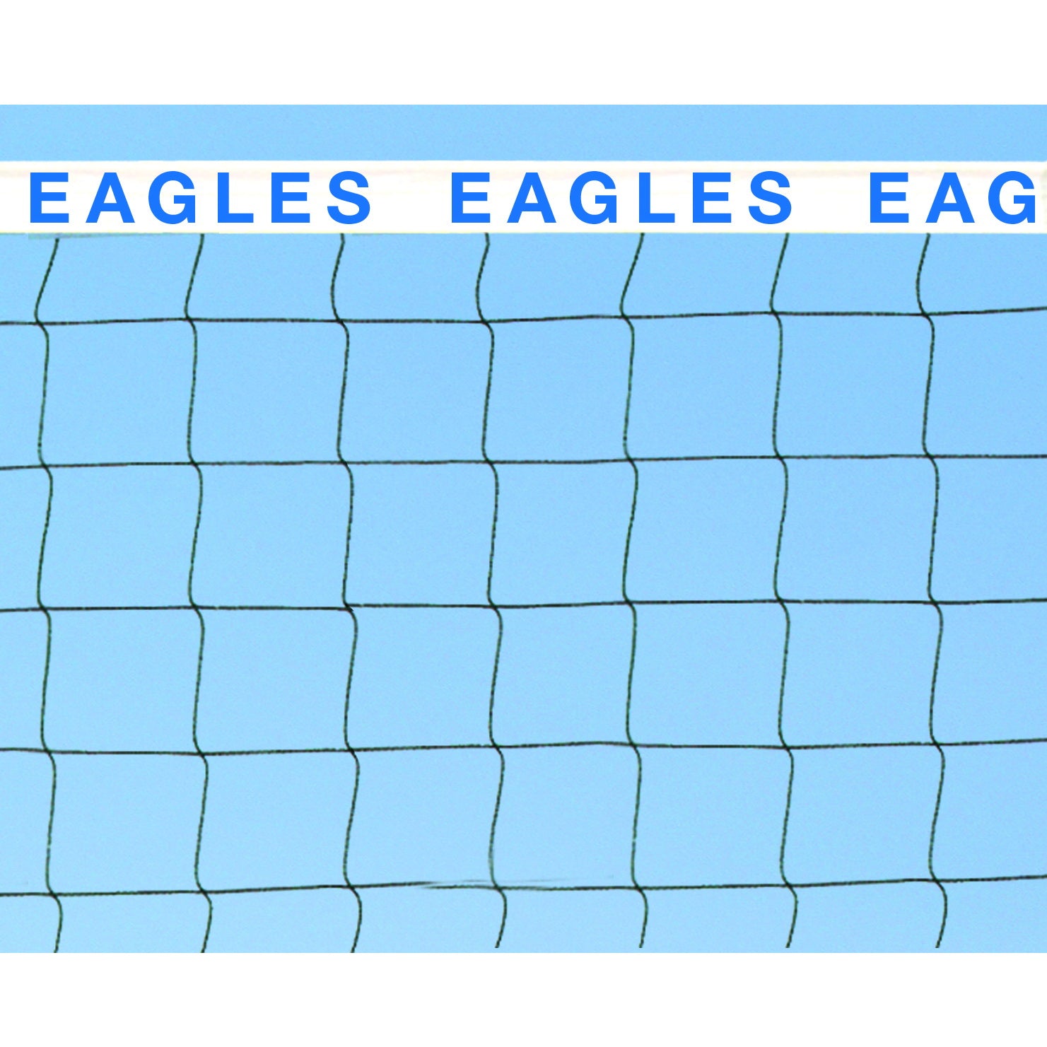 Bison Centerline Elite Beach Volleyball System without Padding