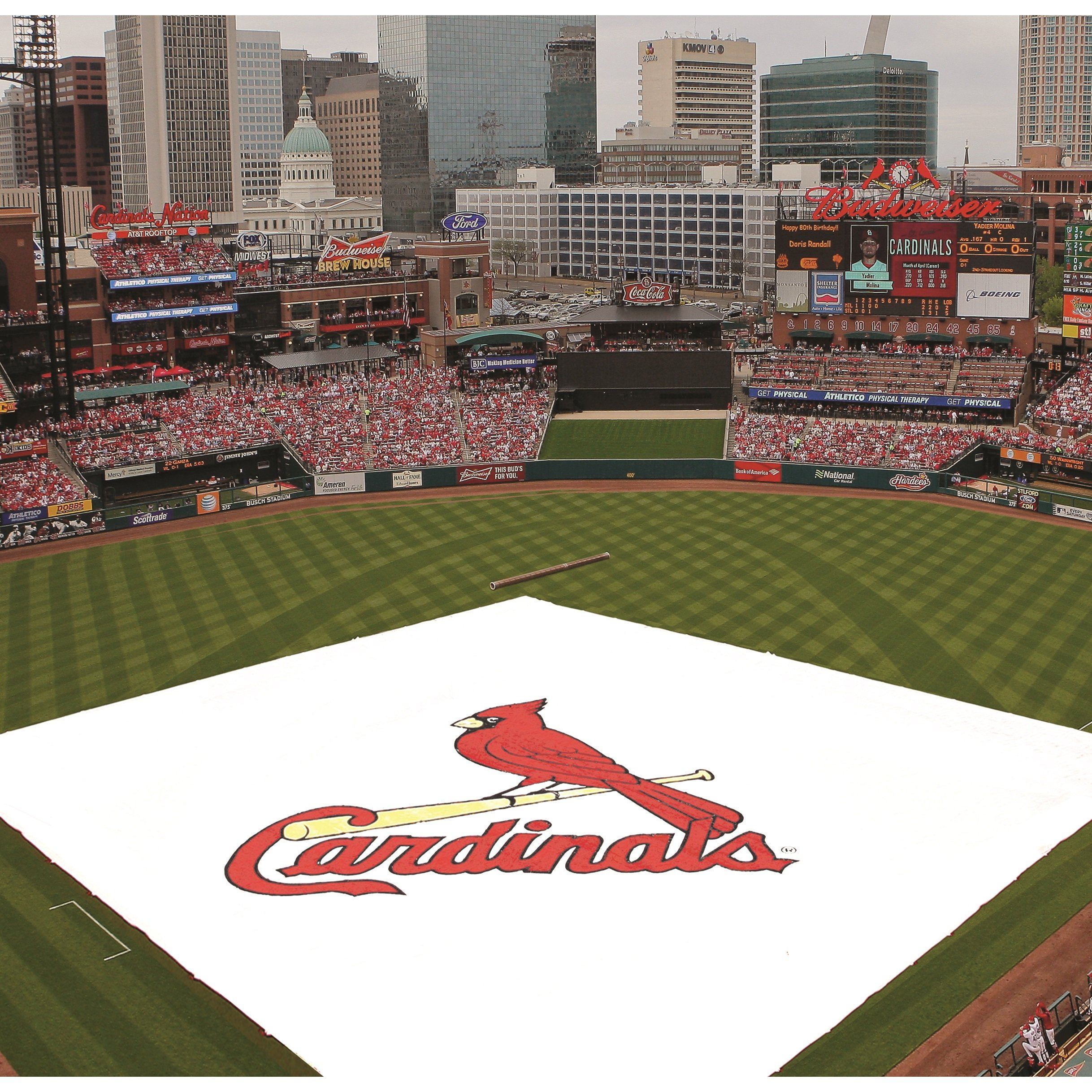 FieldSaver® Baseball and Softball Protective Cover and Rain Tarp - Pitch Pro Direct