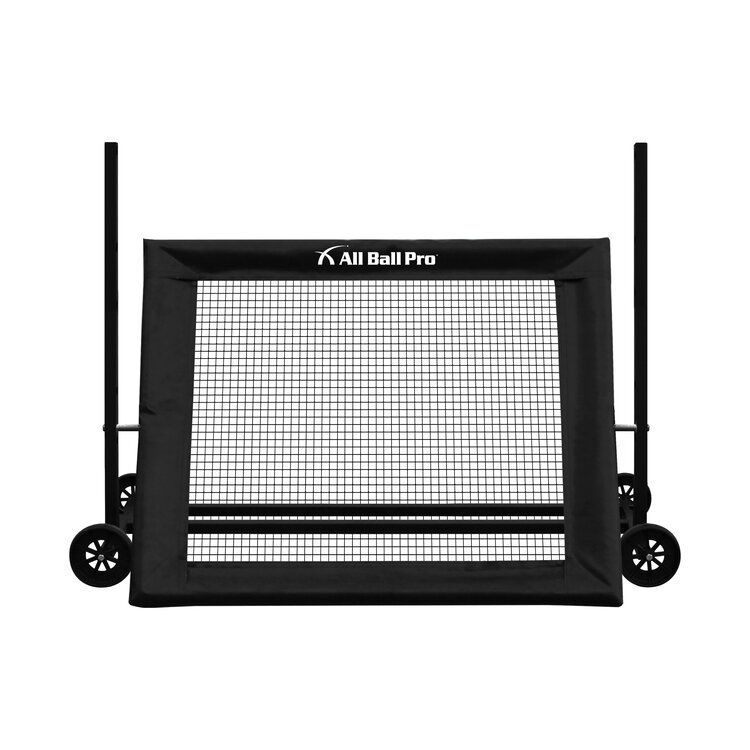 All Ball Pro The Premier XL - PXL
