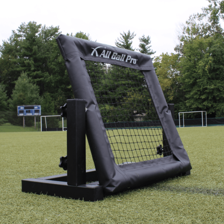 All Ball Pro The Mini Pro