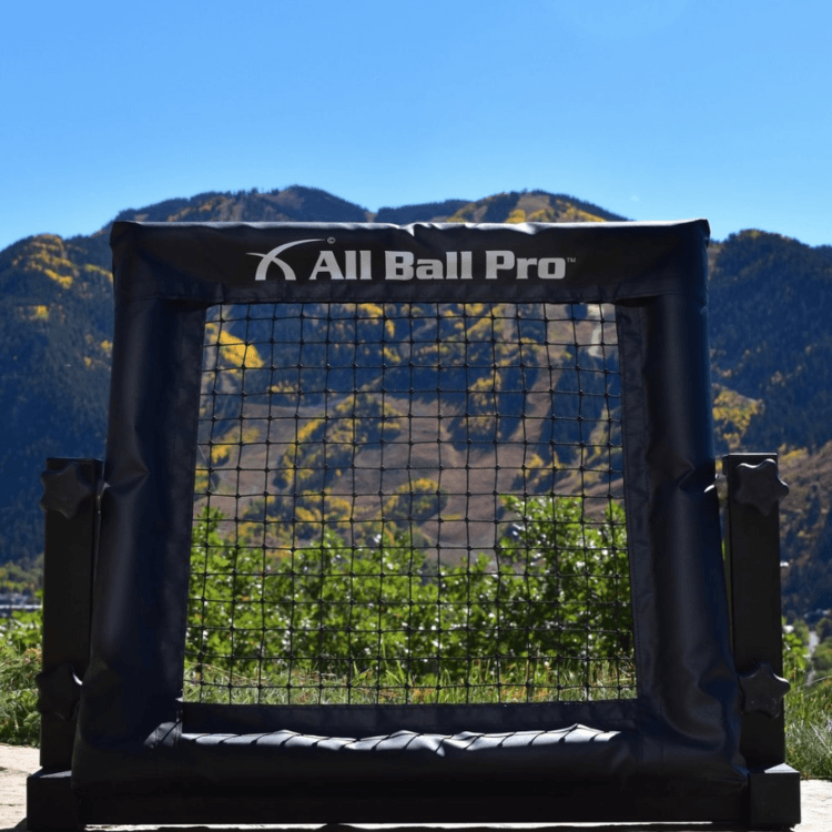 All Ball Pro The Mini Pro