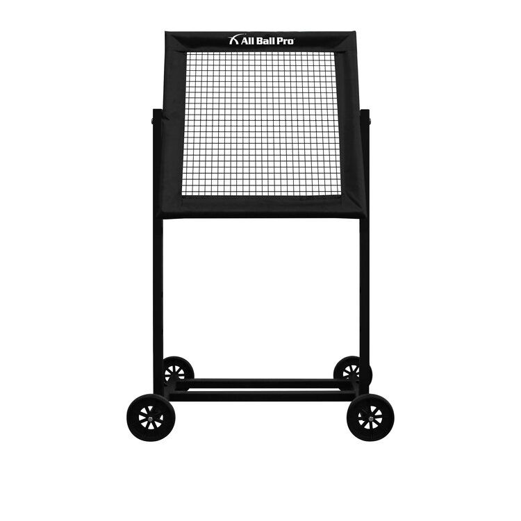 All Ball Pro The Mini Pro