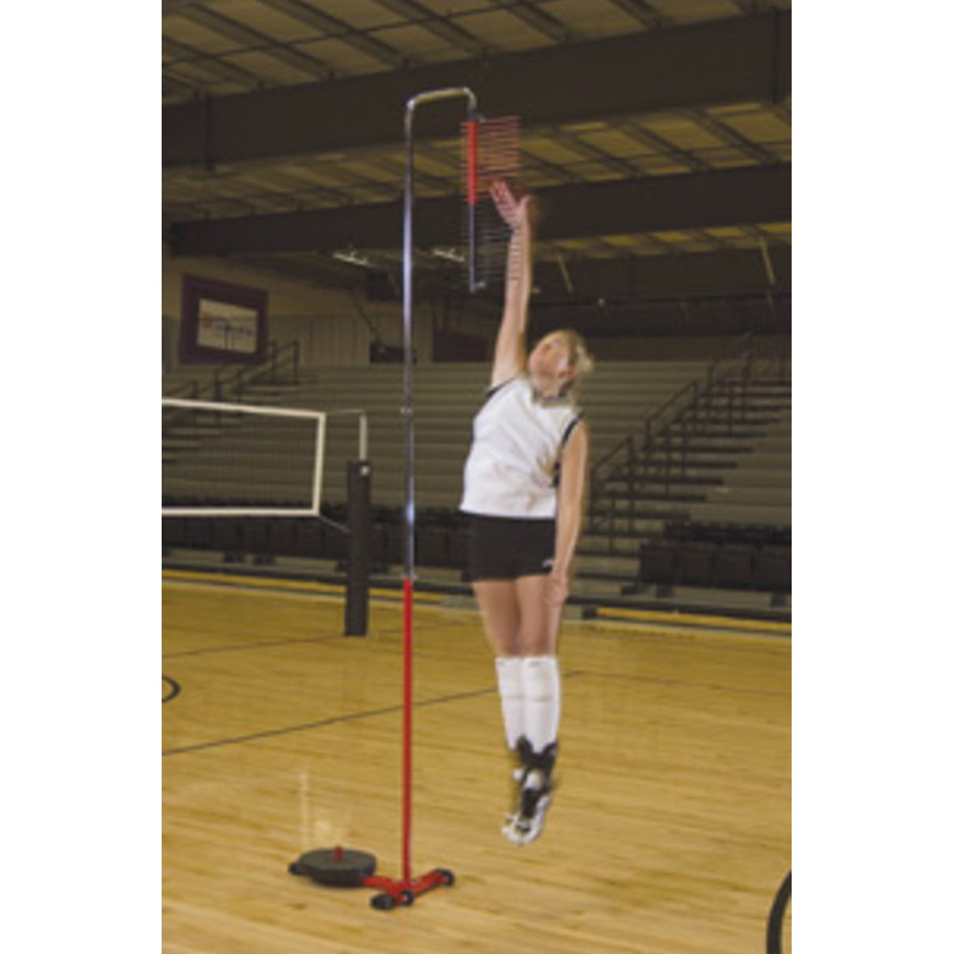 Volleyball Riser Trigon Sport Volleyball Vertical Challenger