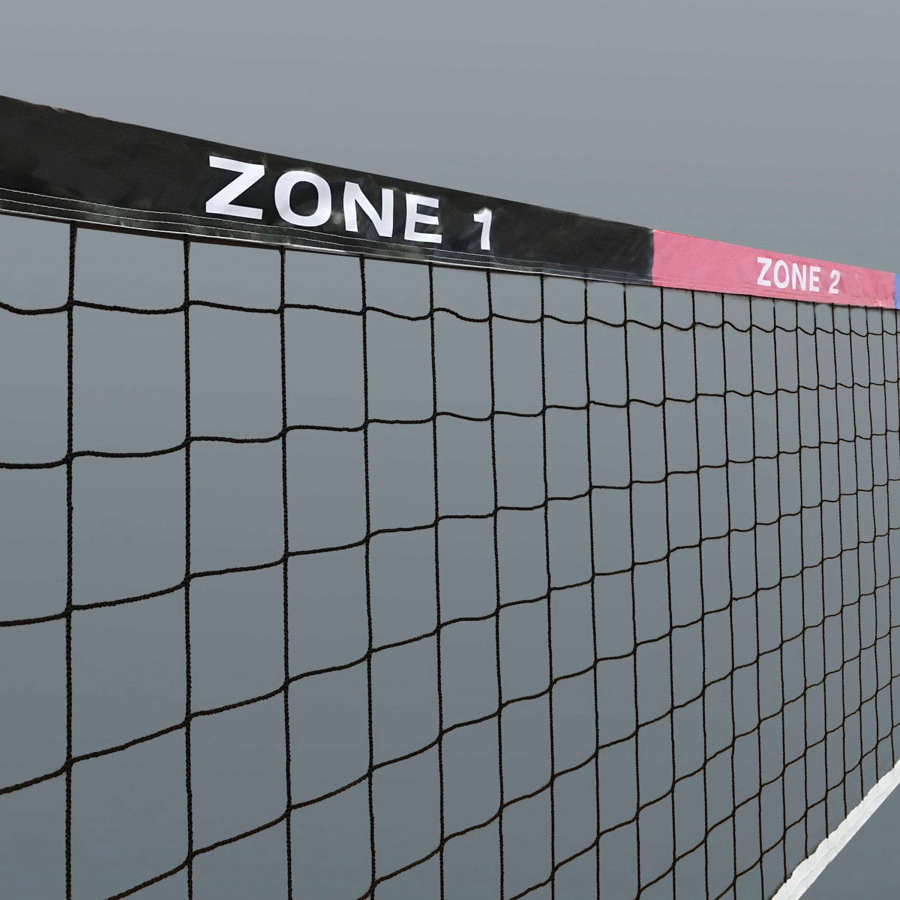 bison inc in the zone training net tape