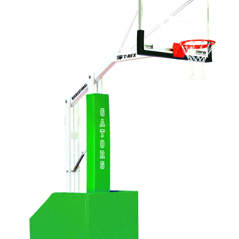 bison inc t-rex recreational portable basketball system for indoor use