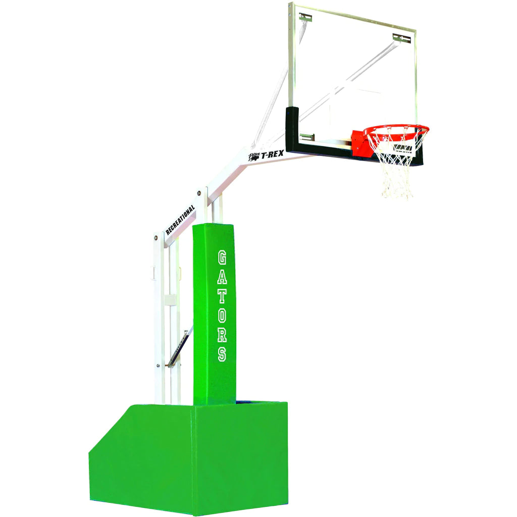 bison t-rex outdoor recreational portable basketball hoop 1