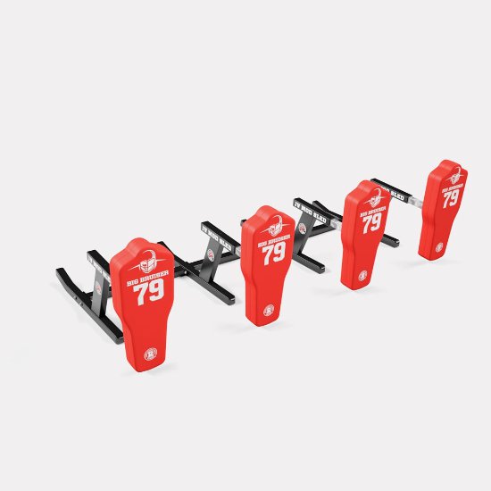 Rogers 4-Man JV Mod Sled