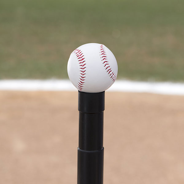 champion sports deluxe batting tee sample