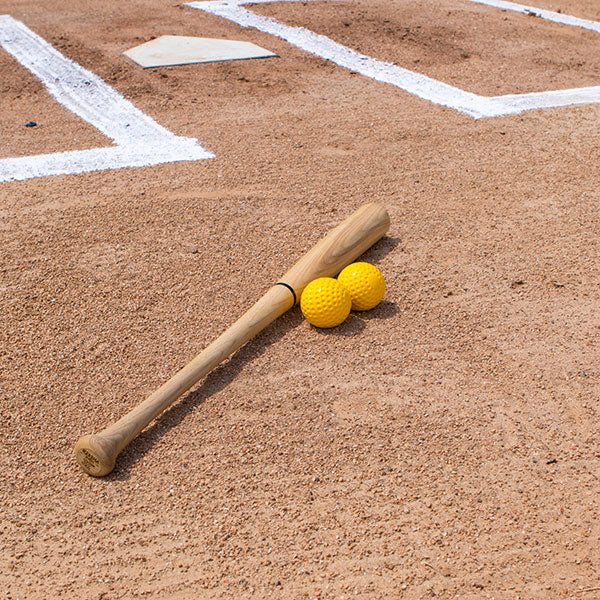 champion sports dimpled pitching machine baseball sample