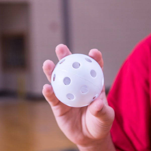 champion sports plastic baseball sample2