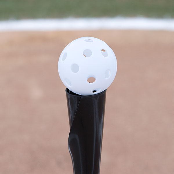 champion sports plastic baseball set sample2