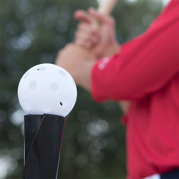 champion sports plastic baseball set sample3
