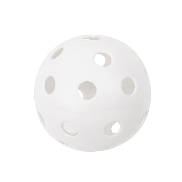 champion sports plastic baseball
