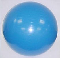 Exercise Plyometric Ball