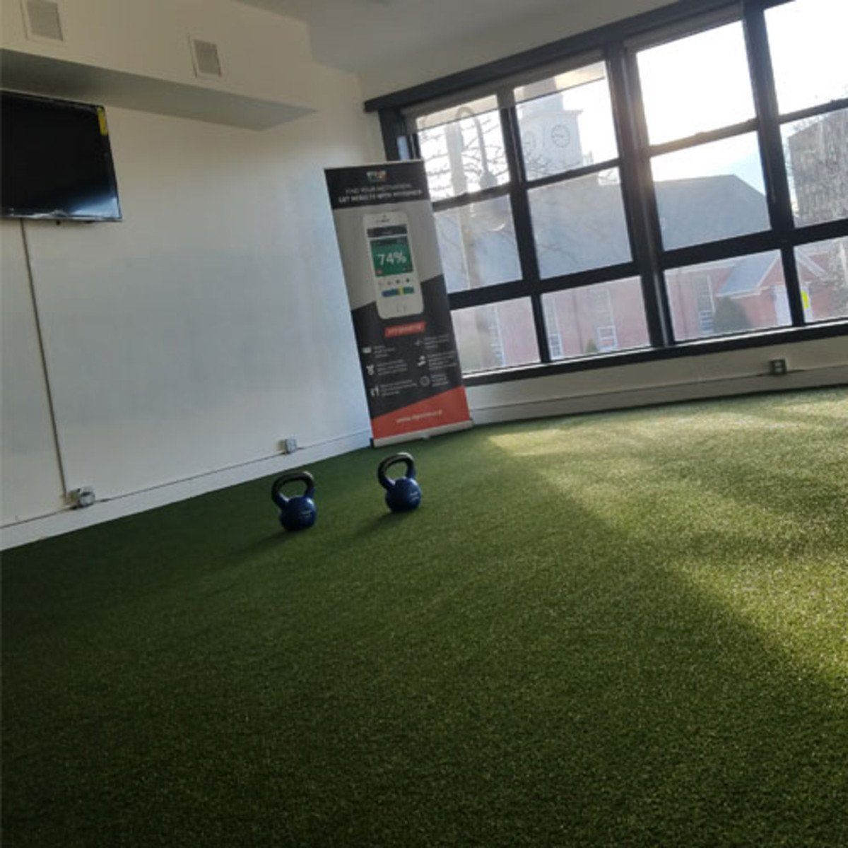ProMounds Elite Padded Artificial Turf - Pitch Pro Direct