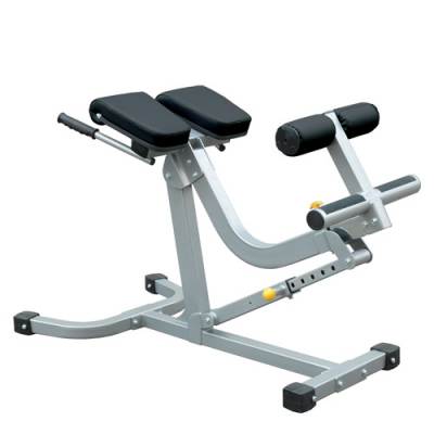 Champion Barbell® Back/Abdominal Exercise Bench