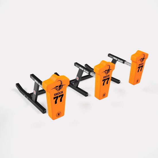 Rogers 3-Man Youth MOD Sled