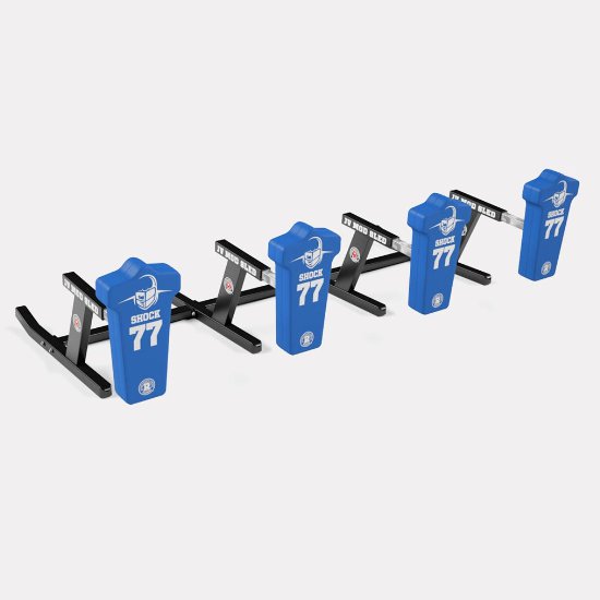 Rogers 4-Man JV Mod Sled