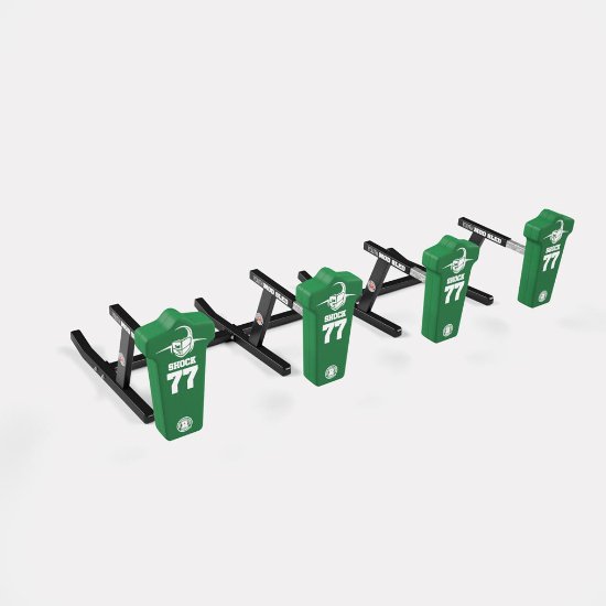 Rogers 4-Man Youth MOD Sled