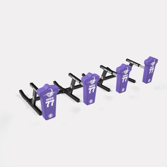 Rogers 4-Man Youth MOD Sled
